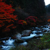 秋彩強滝