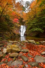 秋彩 トッカケの滝  