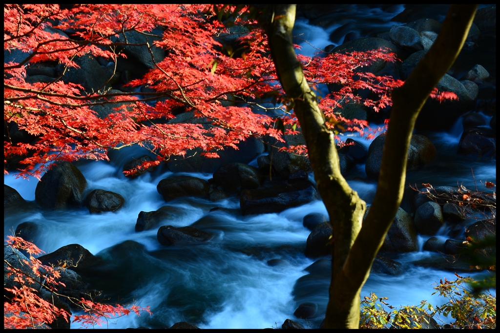 晩秋のせせらぎ　一　～光～