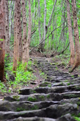 あの坂を登れば