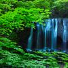 新緑の奏　～ 達沢不動滝～