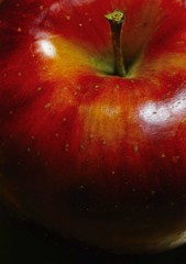 The universe in the apple