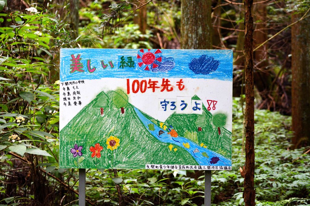 癒しの渓谷　十三　～美しい緑　１００年先も守ろうよ！！～