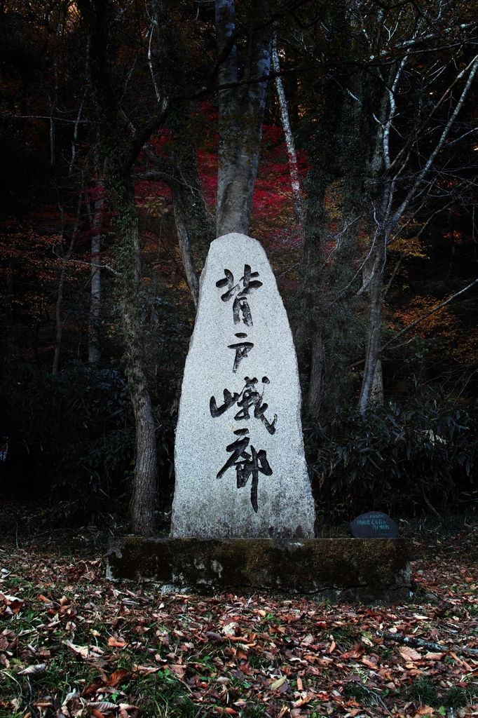深秋の背戸　