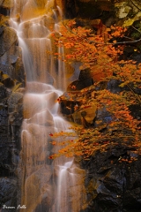 Brown Falls