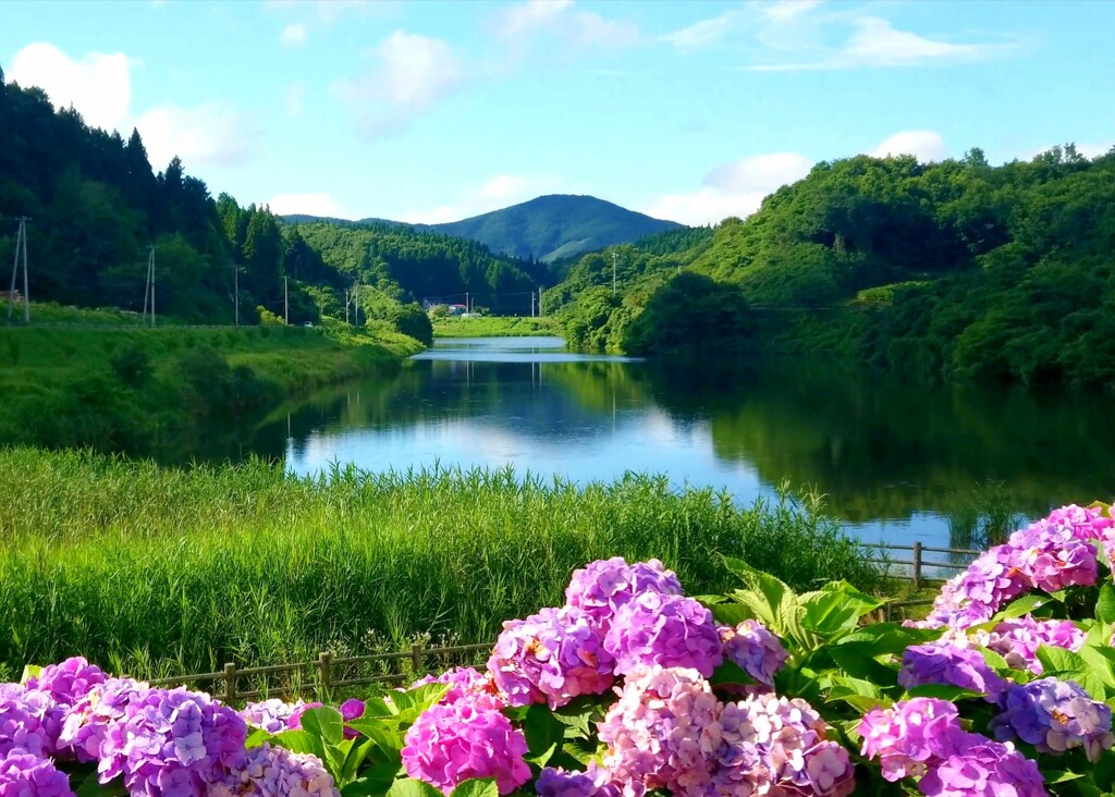 夏のこまち