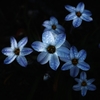 Quiet spring　２