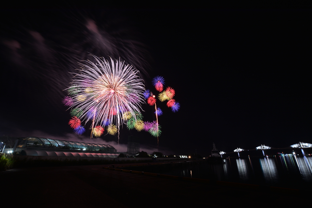 夏夜のはな