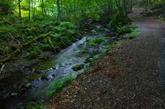 新緑達沢 ~涼を求めて~  新緑達沢 ~涼を求めて~