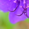 雫