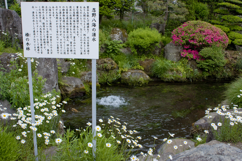 忍野八海09