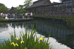 忍野八海01