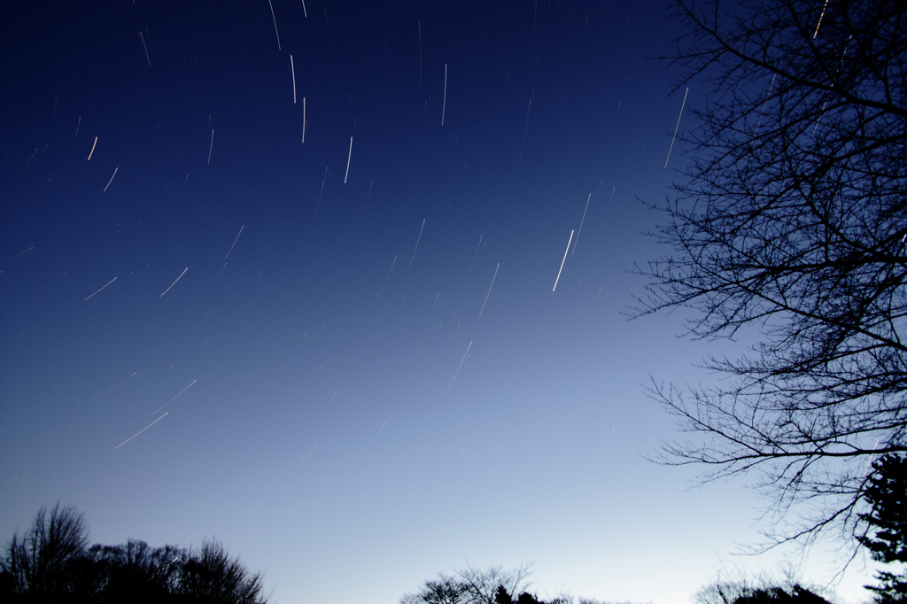 東の夜空