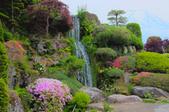 忍野八海10