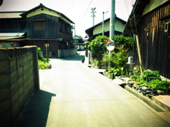 RIMG1809