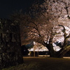 金沢城