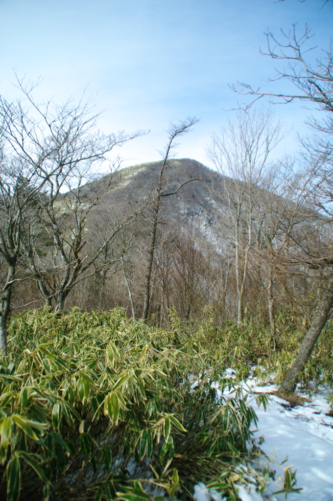 中腹より臨む竜ヶ岳