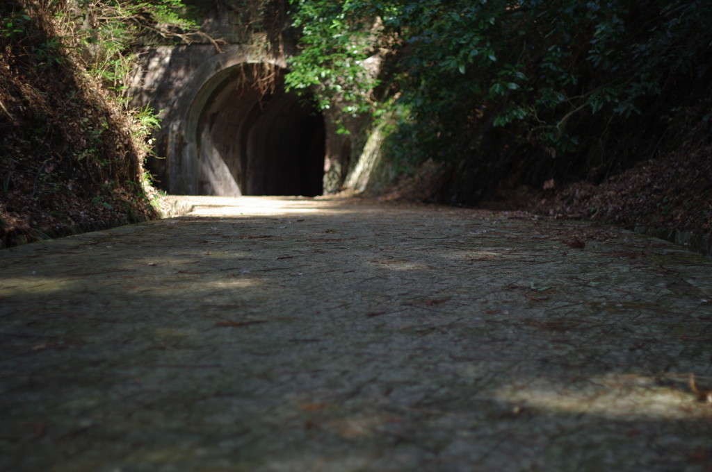 トンネルへと続く道