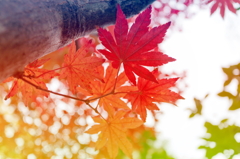 グラデーション