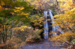 秋の滝