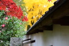 長塀と秋