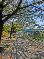HDRアートで荒子川公園の遊歩道を撮ってみた