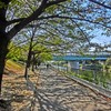 HDRアートで荒子川公園の遊歩道を撮ってみた