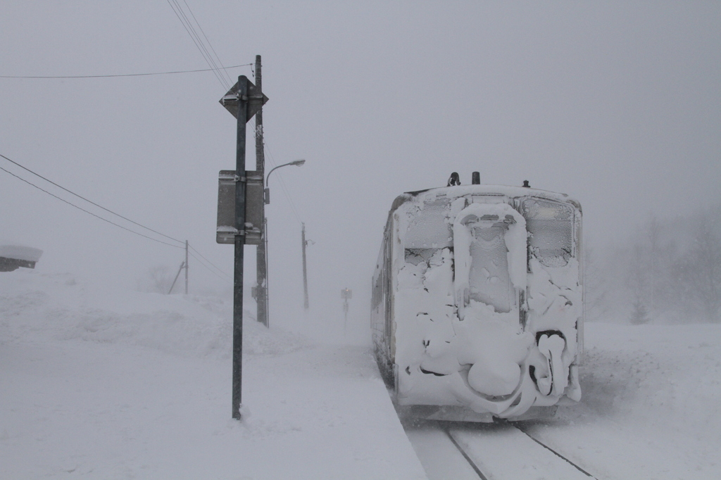 雪化粧