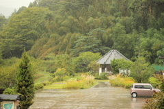 雨と公園