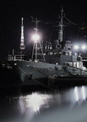 晴海ふ頭 二つの電波塔