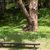 一休み
