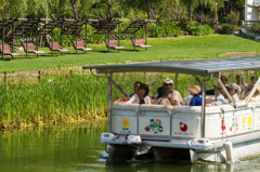 ベンチで寝たい