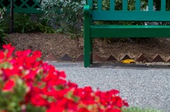 みどりのベンチ