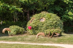 もぐらが出たよ