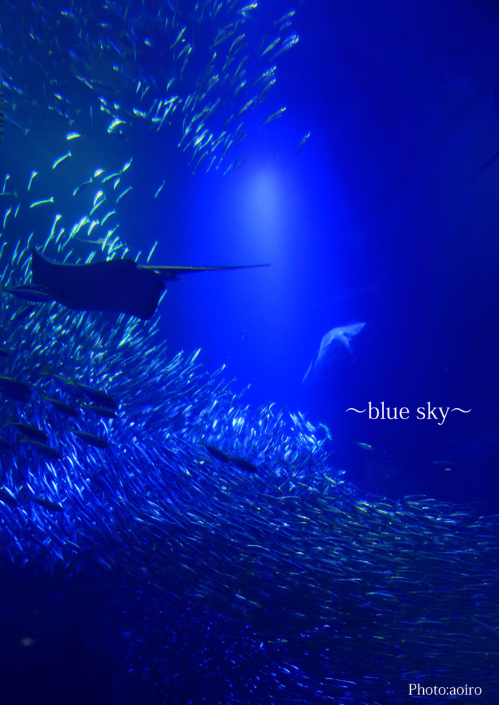 ～blue sky～