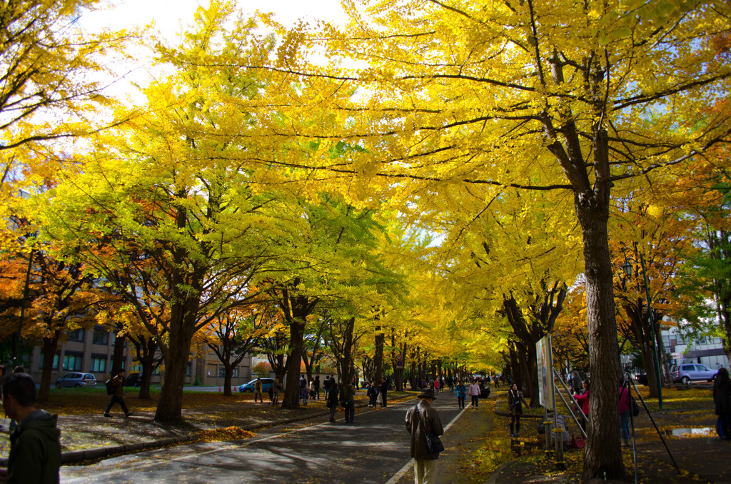紅葉２