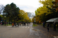 紅葉５