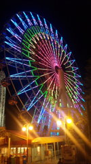 DVC00512