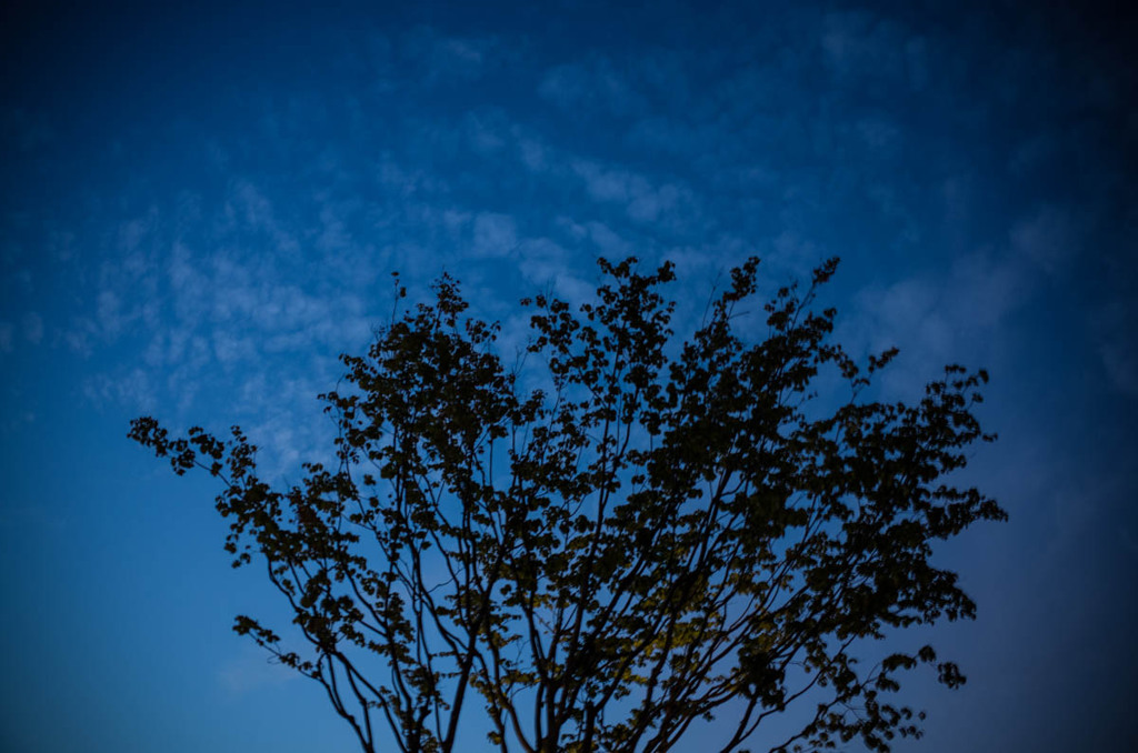 何でもない風景＃５（代官山）