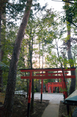 神社の夕暮れ