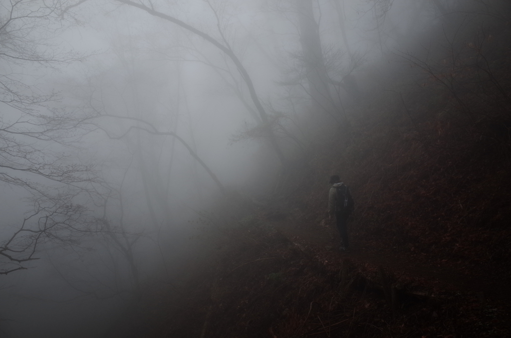 milky trail