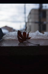 雪