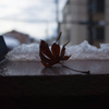 雪
