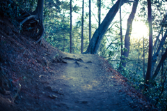 春の山道