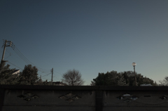 冬空１