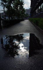 雨上がり