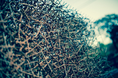 伊香保の美術館にて