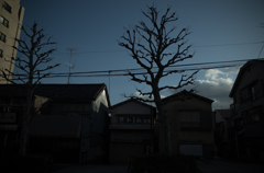 初春の町並み