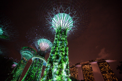 Gardens by the Bay