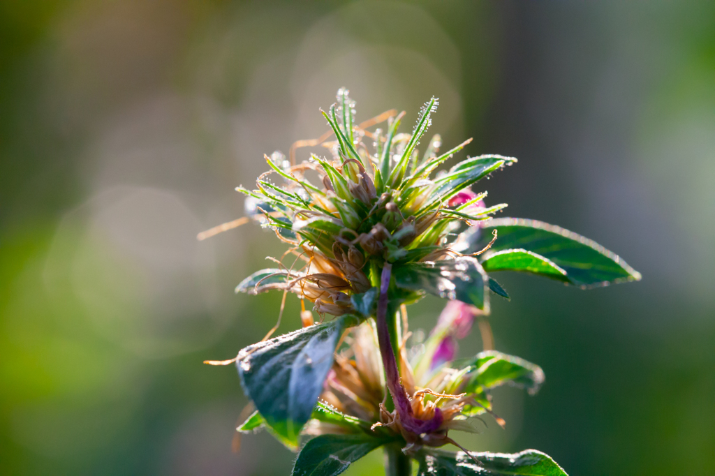 冬の暖かい光を浴びる